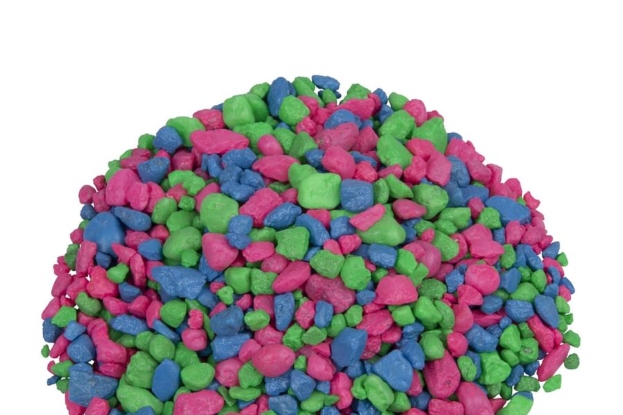 reputable betta fish online marketplace