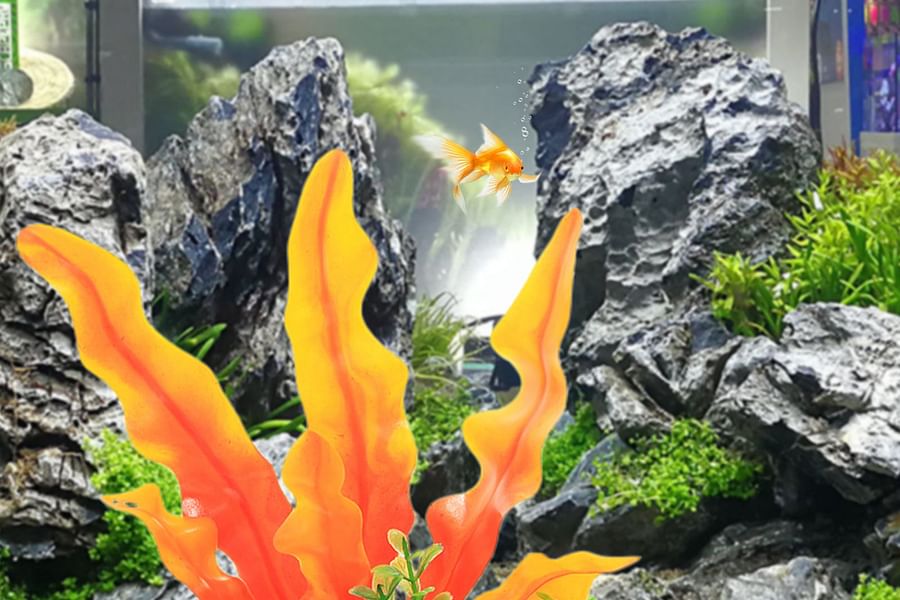 biodegradable fish tank decor