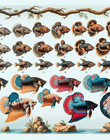 The History and Evolution of the Siamese Fighting Fish: Tracing the Roots of Today's Betta Fish