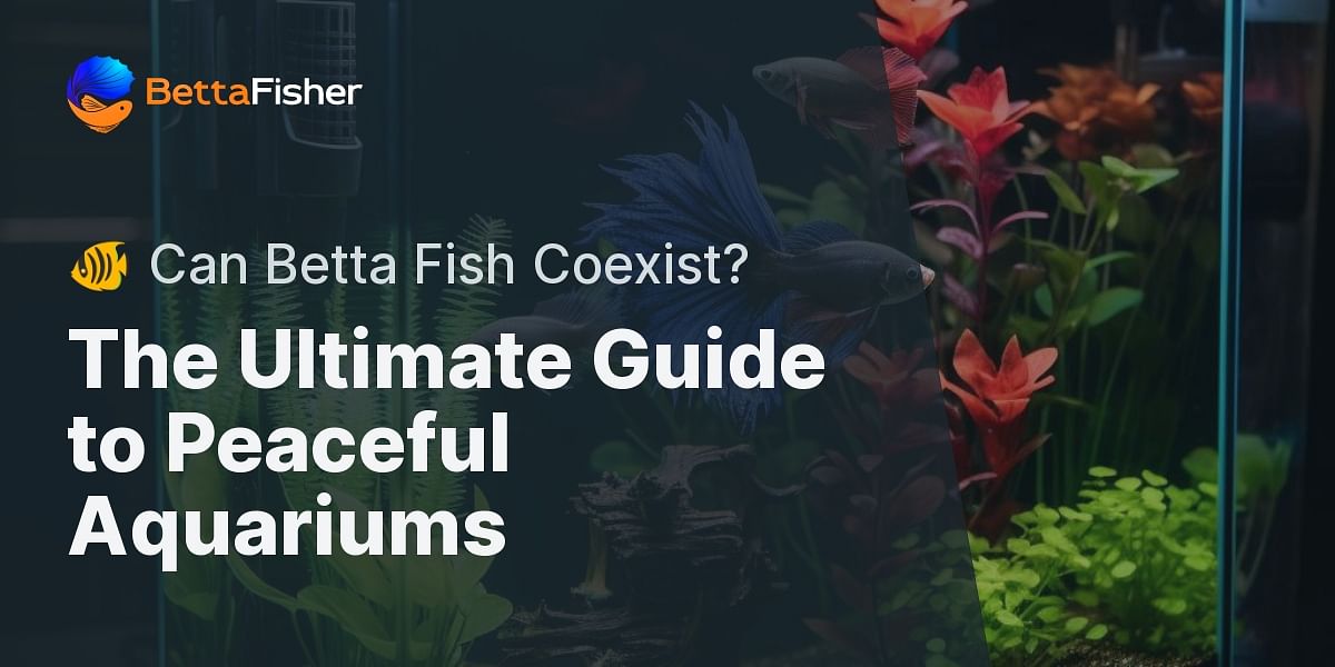 Can Betta Fish Live With Other Fish? A Guide to Creating a Peaceful