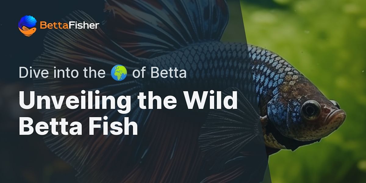Discover the World of Wild Betta Fish Their Natural Habitats and Behavior