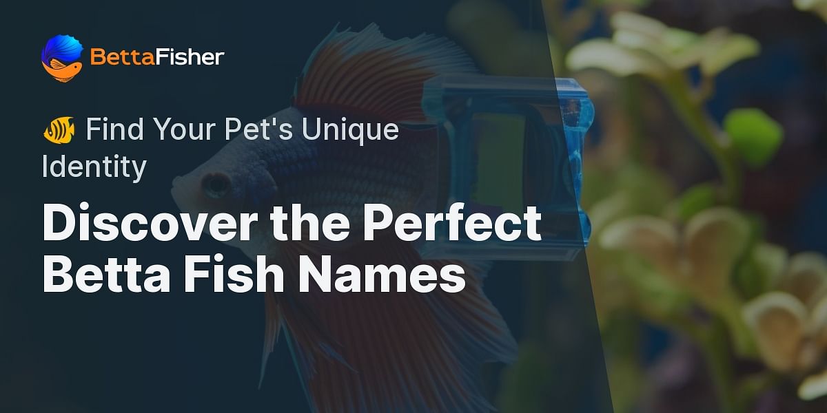 Engaging and Unique Betta Fish Names A Guide to Naming Your New Pet
