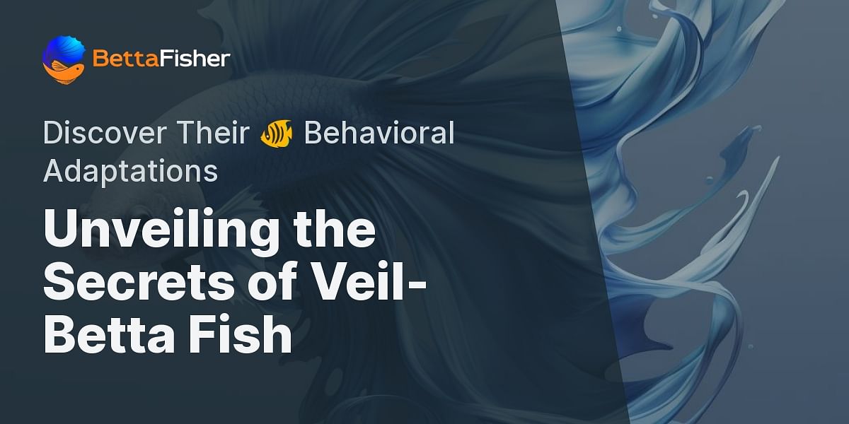 What are the behavioral adaptations of veilbetta fish?