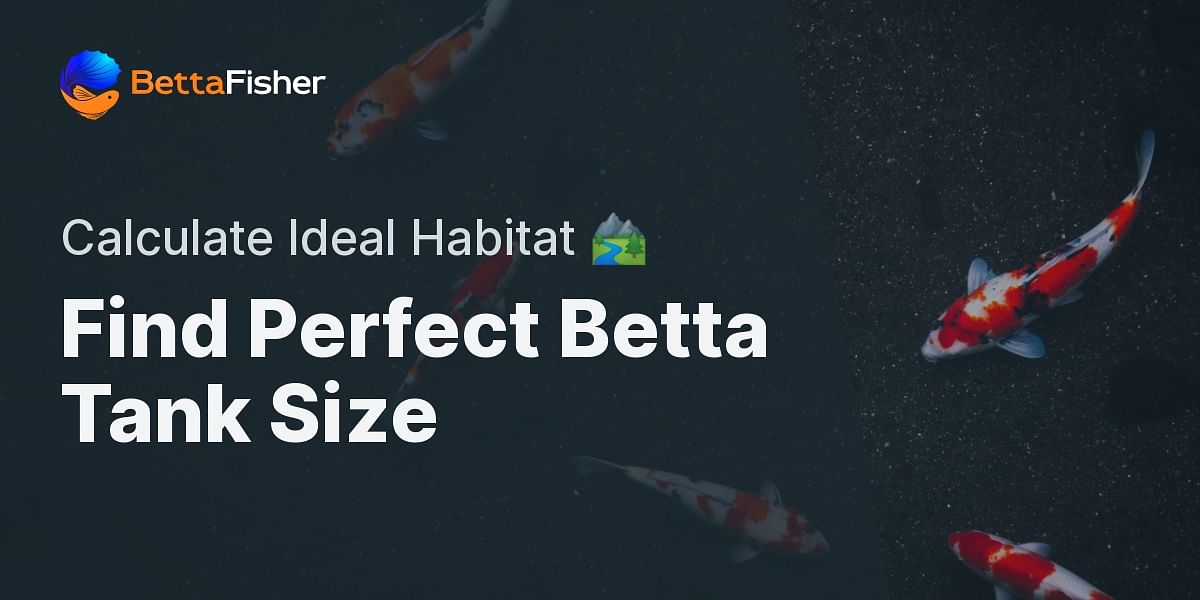 Betta Fish Tank Size Calculator Determine Ideal Tank Size