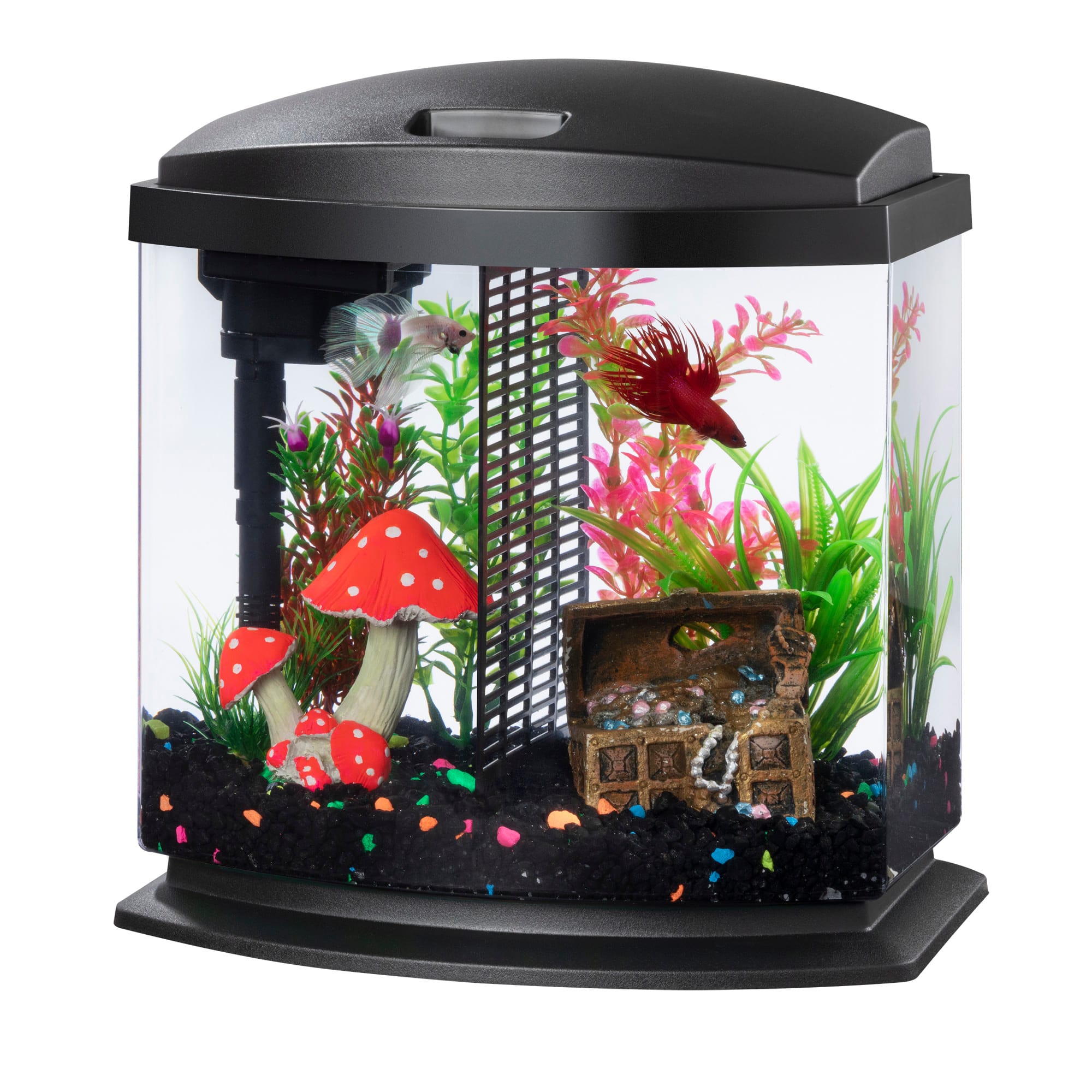 Detailed tutorial for setting up a betta fish tank